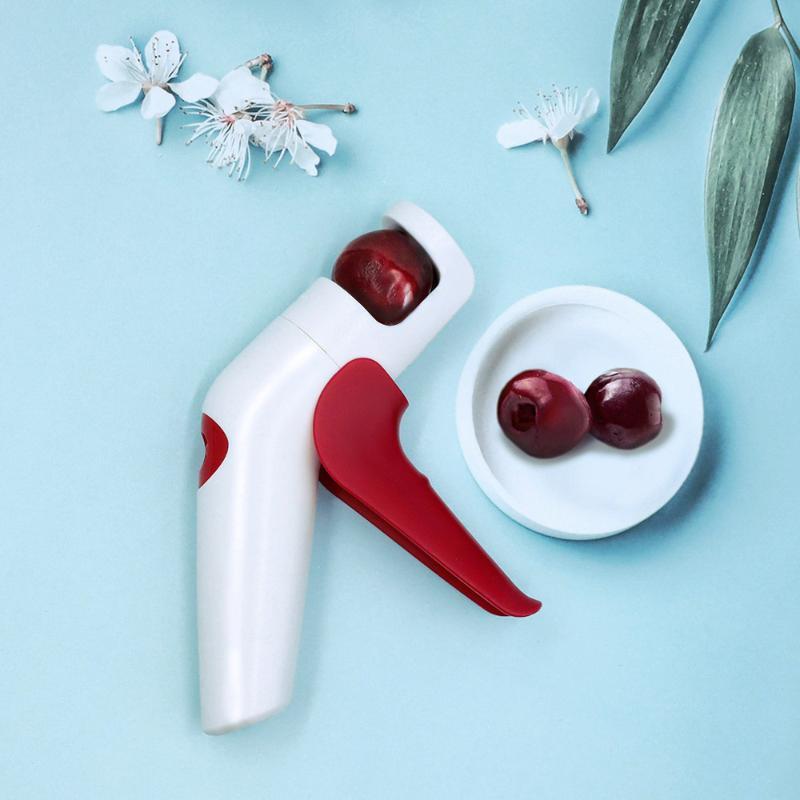 Cherry Red Dates Hawthorn Pitt - Home Improvement Supplies ulasan dan harga